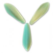 Daghe mm. 5x16 Mint/Ivoire x50|raw }}