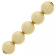 Perle Preciosa Round Pearl Maxima - 5 mm - Pearl Effect Vanilla x25