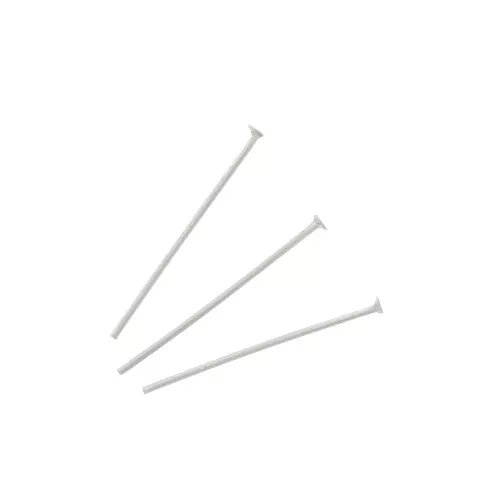 Chiodino con testa piatta in Acciaio inossidabile mm.20x0.6 304L x10