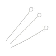 Chiodi a testa tonda 30x0,6 mm - acciaio inox 304L x10|raw }}