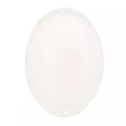Cabochon ovale autoadesivo in resina epossidica 18x13 mm - Trasparente x1