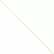 Catena maglia Forçat 2 Gold filled x cm.50