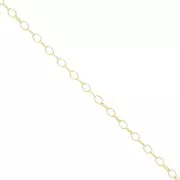 Catena maglia Forçat 2 Gold filled x cm.50