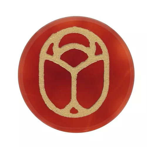 Cabochon tondo piatto 20 mm scarabeo inciso esclusiva Perles & Co -Corniola Dorato x1