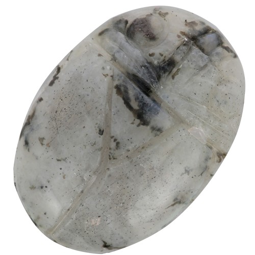 Cabochon ovale inciso scarabeo 25x18 mm in pietra gemma - Labradorite x1