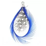 Piuma 50mm Dark Blue x1