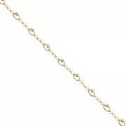 Catena maglia jaseron con perle sfaccettate 5mm Dorato x50cm