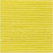 Essentials Organic Cotton Aran - Pistacchio x 50g