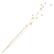 Lino naturale essiccato per composizione floreale x1 stelo|raw }}