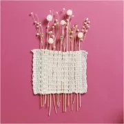 Lino naturale essiccato per composizione floreale x1 stelo