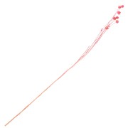 Lino rosa essiccato per composizione floreale x1 stelo