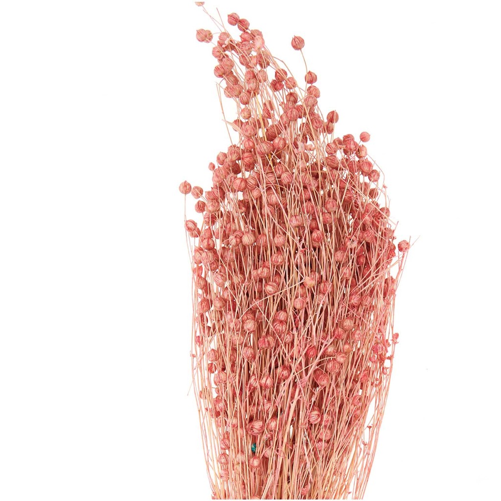 Composizione Floreale Con Loto Essiccato E Steli Naturali 65cm, Decorazione Zen Per Casa, Ufficio, Matrimoni E Centrotavola Elegante