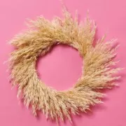 Erba di pampa essiccata naturale per composizione floreale x6 steli