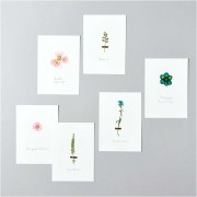 Assortimento di fiori secchi e pressati su tavola - Mix Arancione - Turchese