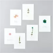 Assortimento di fiori secchi e pressati su tavola - Mix Arancione - Turchese