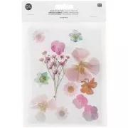 Assortimento di fiori secchi e pressati su tavola - Mix Arancione - Turchese