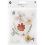 Assortimento di fiori secchi e pressati su tavola - Mix natura Arancione