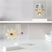 Assortimento di fiori secchi e pressati su tavola - Mix Bianco - Viola