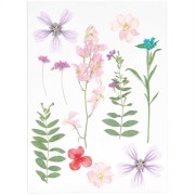 Assortimento di fiori secchi e pressati su tavola - Mix Rosa - Viola|raw }}