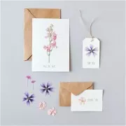 Assortimento di fiori secchi e pressati su tavola - Mix Rosa - Viola