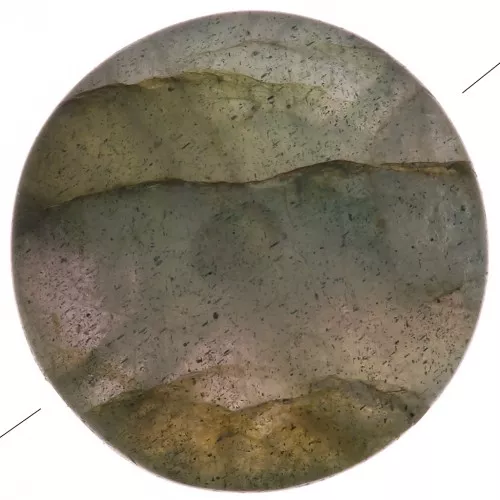 Perla piatta rotonda -disco - gemma 8 mm - Labradorite x1