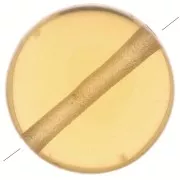 Perla piatta rotonda - disco - 8 mm in imitazione pietra gemma - Hydro Citrine x1