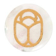 Cabochon tondo piatto 20mm scarabeo inciso in esclusiva Perle and Co Madreperla x1
