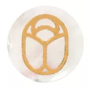 Cabochon tondo piatto 20mm scarabeo inciso in esclusiva Perle and Co Madreperla x1