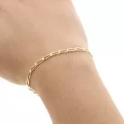 Catena maglia Cavallo limata 2.9 mm Gold filled x20cm