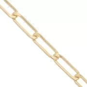 Catena maglia Cavallo limata 3.9 mm Gold filled x20cm