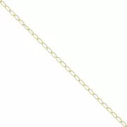 Catena maglia Cavallo 1.9 mm Gold filled x50cm