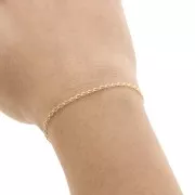 Catena maglia Cavallo 1.9 mm Gold filled x50cm