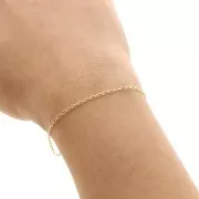 Catena maglia Cavallo 1.6 mm Gold filled x50cm