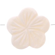 Perle di madreperla - Forma di fiore 21 mm - Naturale x5