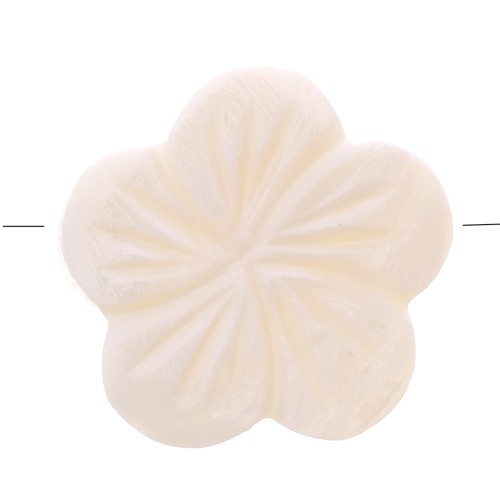 Perle di madreperla - Forma di fiore 21 mm - Naturale x5