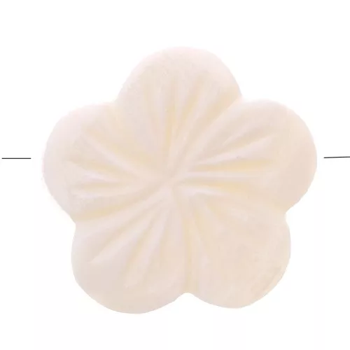 Perle di madreperla - Forma di fiore 21 mm - Naturale x5