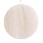 Perline di madreperla - forma di disco 25 mm - Naturale x2