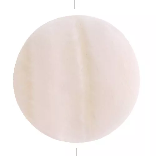 Perline di madreperla - forma di disco 25 mm - Naturale x2