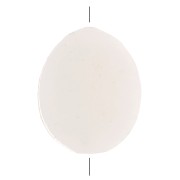 Perline di madreperla piatte - ovale 11x9 mm - Naturale x10