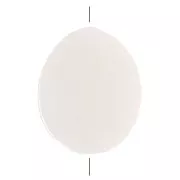 Perline di madreperla piatte - ovale 11x9 mm - Naturale x10