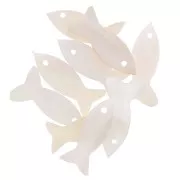 Zecchini pesce madreperla 19x10 mm - Naturale x10