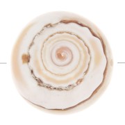 Perlina di conchiglia da 17 mm - Naturale x1|raw }}