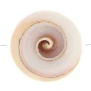 Perlina di conchiglia da 17 mm - Naturale x1