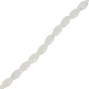 Perla color oliva in madreperla 5,5x3 mm x 39 cm