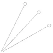 Chiodo a testa tonda 38x0.50 mm in argento 925 x10