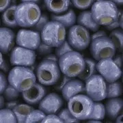 Rocaille Toho 11/0 TO11RPF567F - PF Metallic Polaris Mat