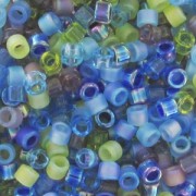 Mix Miyuki Delica 11/0 - Jeweltone x8g|raw }}