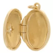 Ciondolo portafoto con Ossido di zirconio 20x15 mm - placcato oro 3 micron x1