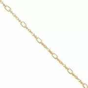 Catena maglia rettangolo rotondo 5.4 mm -Dorato x50cm