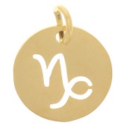 Ciondolo rotondo - Segno del Capricorno 12mm -acciaio inox 304 dorato x1